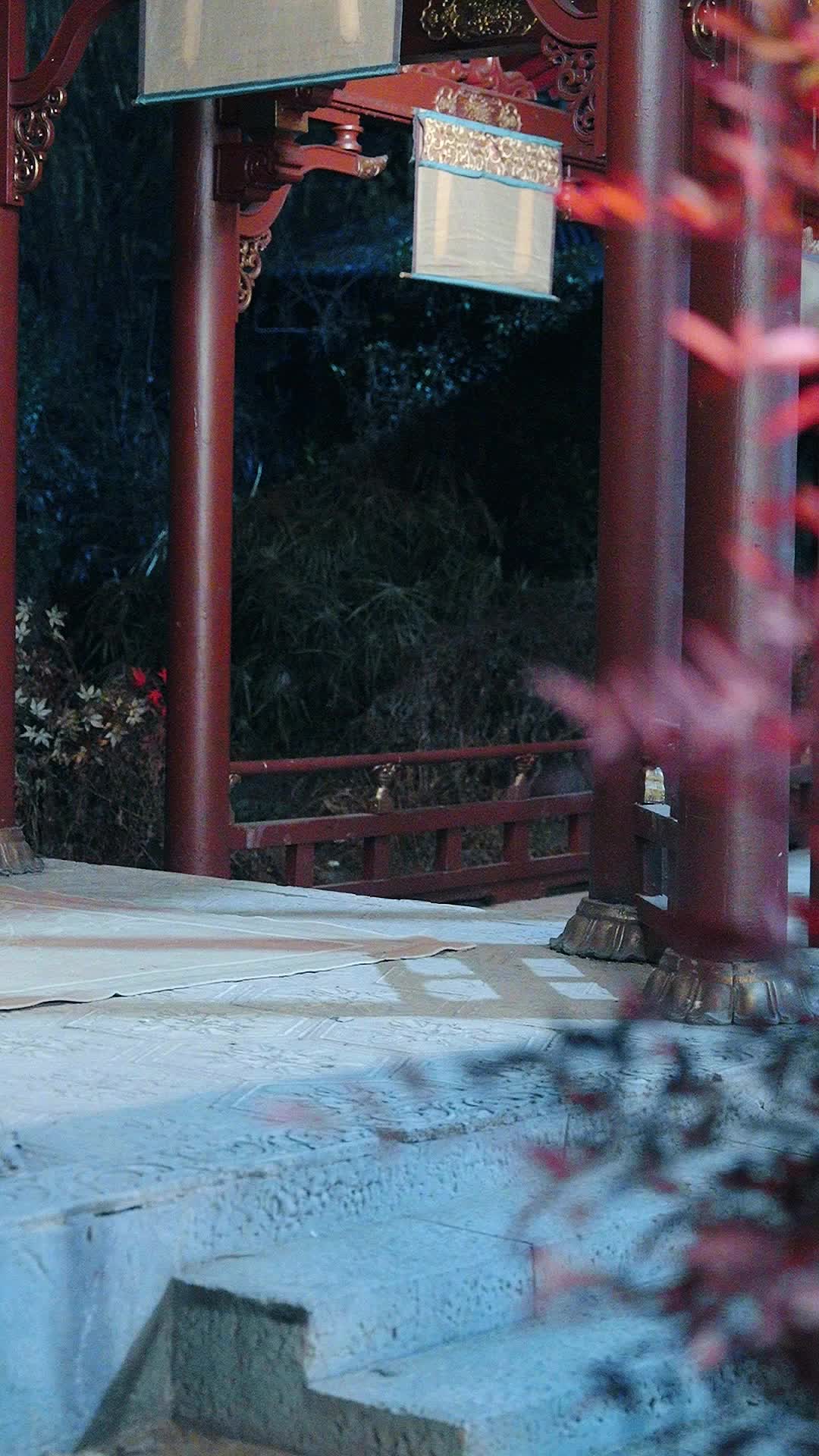 Episodio 27 - La jaula dorada del Emperado